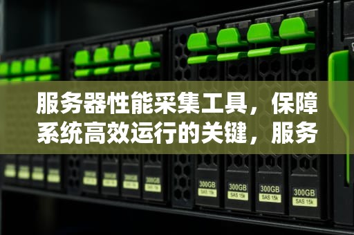 服务器性能采集工具，保障系统高效运行的关键，服务器性能采集工具有哪些
