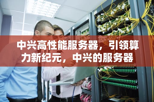 中兴高性能服务器，引领算力新纪元，中兴的服务器