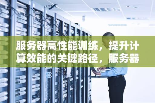 服务器高性能训练，提升计算效能的关键路径，服务器高性能训练软件