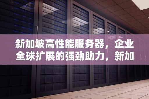 新加坡高性能服务器，企业全球扩展的强劲助力，新加坡高性能服务器有哪些
