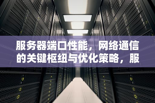 服务器端口性能，网络通信的关键枢纽与优化策略，服务器端口性能怎么看