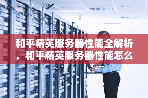 和平精英服务器性能全解析，和平精英服务器性能怎么看