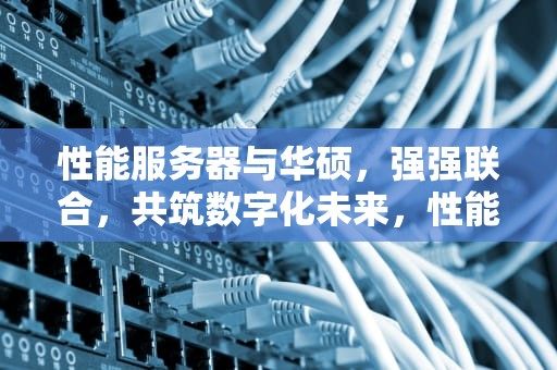 性能服务器与华硕，强强联合，共筑数字化未来，性能服务器和华硕哪个好