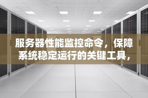 服务器性能监控命令，保障系统稳定运行的关键工具，服务器性能监控命令是什么