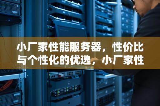 小厂家性能服务器，性价比与个性化的优选，小厂家性能服务器有哪些
