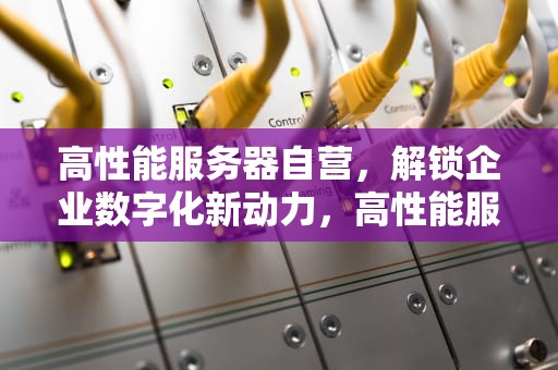高性能服务器自营，解锁企业数字化新动力，高性能服务器 自营品牌