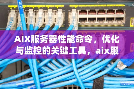AIX服务器性能命令，优化与监控的关键工具，aix服务器如何查看cpu信息