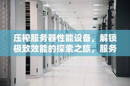 压榨服务器性能设备，解锁极致效能的探索之旅，服务器的压力来自哪里