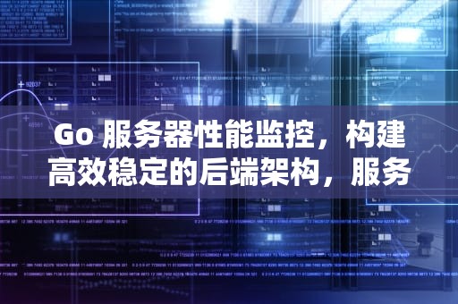 Go 服务器性能监控，构建高效稳定的后端架构，服务器性能监控工具