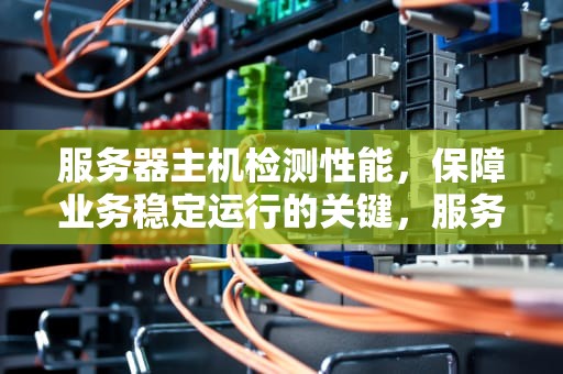 服务器主机检测性能，保障业务稳定运行的关键，服务器主机检测性能的方法