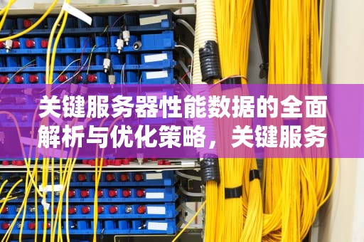 关键服务器性能数据的全面解析与优化策略，关键服务器性能数据分析