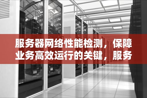 服务器网络性能检测，保障业务高效运行的关键，服务器网络性能检测软件