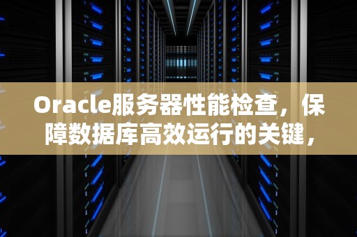 Oracle服务器性能检查，保障数据库高效运行的关键，oracle服务器性能调优
