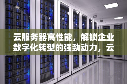 云服务器高性能，解锁企业数字化转型的强劲动力，云服务器高性能