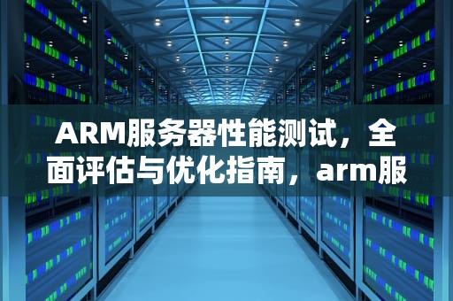 ARM服务器性能测试，全面评估与优化指南，arm服务器 性能测试方法