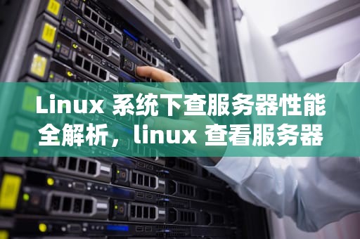 Linux 系统下查服务器性能全解析，linux 查看服务器性能
