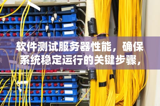 软件测试服务器性能，确保系统稳定运行的关键步骤，软件测试服务器性能怎么样