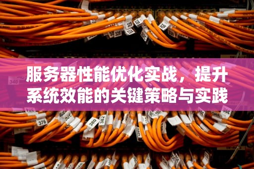 服务器性能优化实战，提升系统效能的关键策略与实践，服务器性能优化的方法