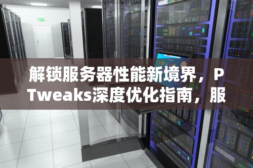 解锁服务器性能新境界，PTweaks深度优化指南，服务器优化服务