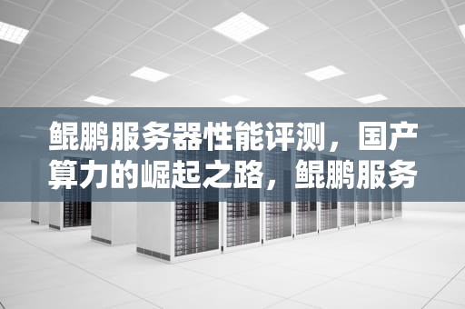 鲲鹏服务器性能评测，国产算力的崛起之路，鲲鹏服务器性能评测