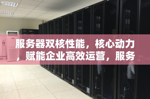 服务器双核性能，核心动力，赋能企业高效运营，服务器双核性能怎么看