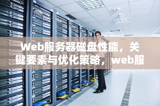 Web服务器磁盘性能，关键要素与优化策略，web服务器磁盘性能检测