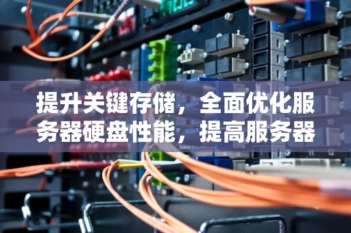 提升关键存储，全面优化服务器硬盘性能，提高服务器硬盘性能的方法