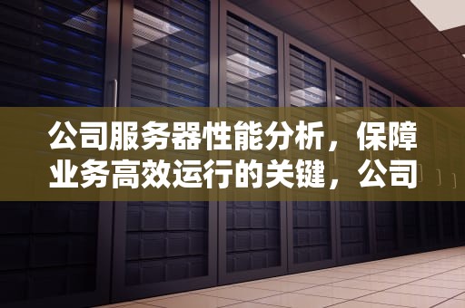 公司服务器性能分析，保障业务高效运行的关键，公司服务器性能分析报告