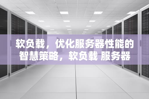 软负载，优化服务器性能的智慧策略，软负载 服务器性能指标