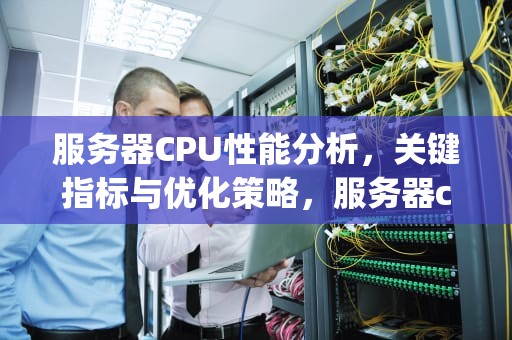 服务器CPU性能分析，关键指标与优化策略，服务器cpu性能分析