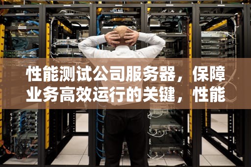 性能测试公司服务器，保障业务高效运行的关键，性能测试公司服务器有哪些