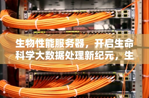 生物性能服务器，开启生命科学大数据处理新纪元，生物性能服务器有哪些