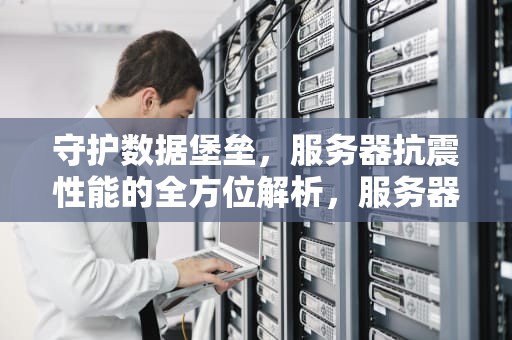 守护数据堡垒，服务器抗震性能的全方位解析，服务器抗震检测报告