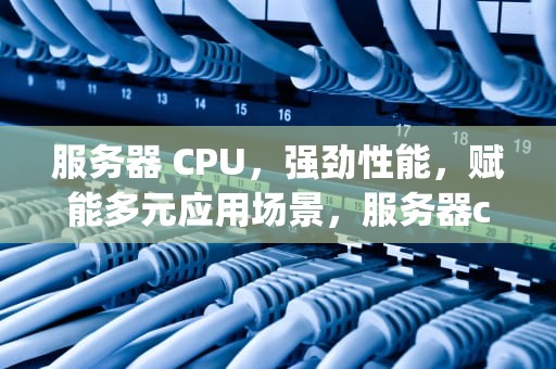 服务器 CPU，强劲性能，赋能多元应用场景，服务器cpu性能很强吗