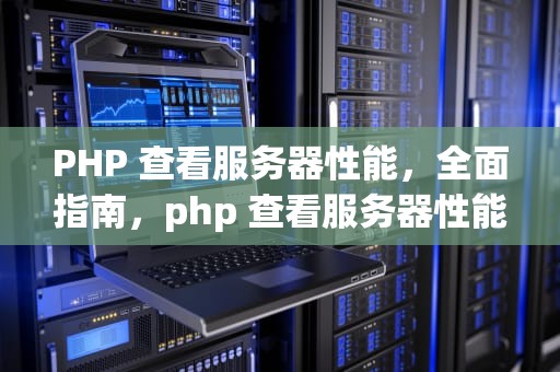 PHP 查看服务器性能，全面指南，php 查看服务器性能参数