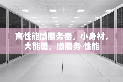 高性能微服务器，小身材，大能量，微服务 性能