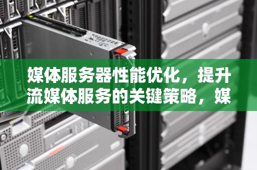 媒体服务器性能优化，提升流媒体服务的关键策略，媒体服务器性能优化方案