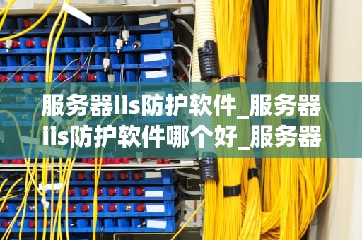 服务器iis防护软件_服务器iis防护软件哪个好_服务器IIS防护软件的重要性及其应用