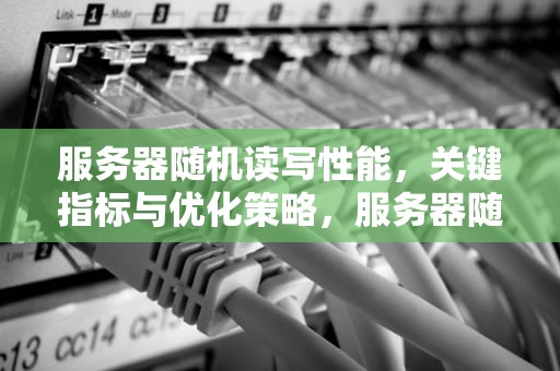 服务器随机读写性能，关键指标与优化策略，服务器随机读写性能测试