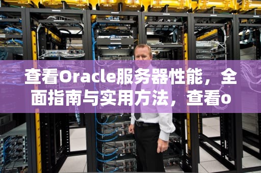 查看Oracle服务器性能，全面指南与实用方法，查看oracle服务器配置