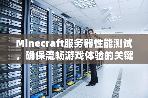 Minecraft服务器性能测试，确保流畅游戏体验的关键步骤，我的世界服务器测试
