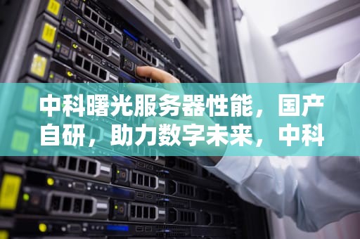 中科曙光服务器性能，国产自研，助力数字未来，中科曙光服务器性能怎么样