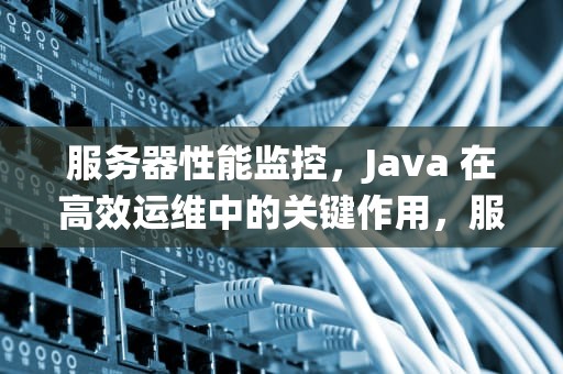 服务器性能监控，Java 在高效运维中的关键作用，服务器性能监控系统