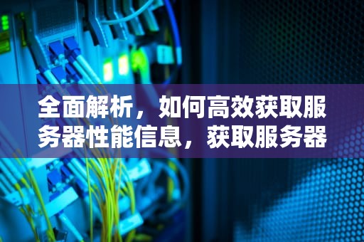 全面解析，如何高效获取服务器性能信息，获取服务器性能信息的方法