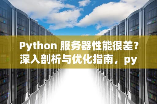 Python 服务器性能很差？深入剖析与优化指南，python在服务器上运行慢