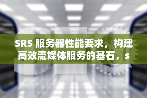SRS 服务器性能要求，构建高效流媒体服务的基石，sr服务器是指