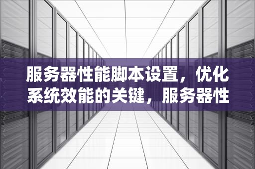 服务器性能脚本设置，优化系统效能的关键，服务器性能脚本设置方法