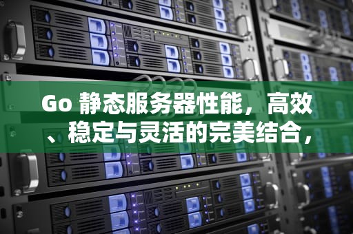 Go 静态服务器性能，高效、稳定与灵活的完美结合，静态服务器配置
