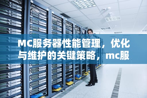 MC服务器性能管理，优化与维护的关键策略，mc服务器性能优化