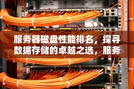 服务器磁盘性能排名，探寻数据存储的卓越之选，服务器磁盘性能排名前十